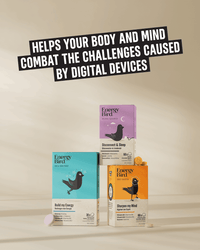 Energy Bird's Body Support System featuring products Build my Energy, Sharpen my Mind and Disconnect & Sleep