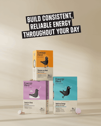 Energy Bird's Foundation Builder System featuring products Build my Energy, Sharpen my Mind and Ready to Sleep