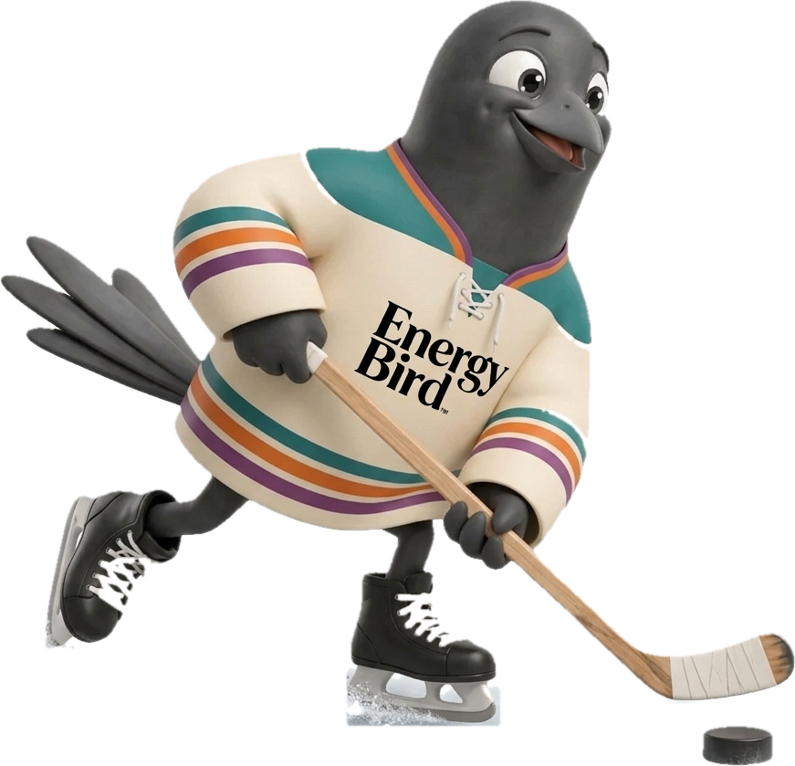 Energy Bird Rookie Bird skating