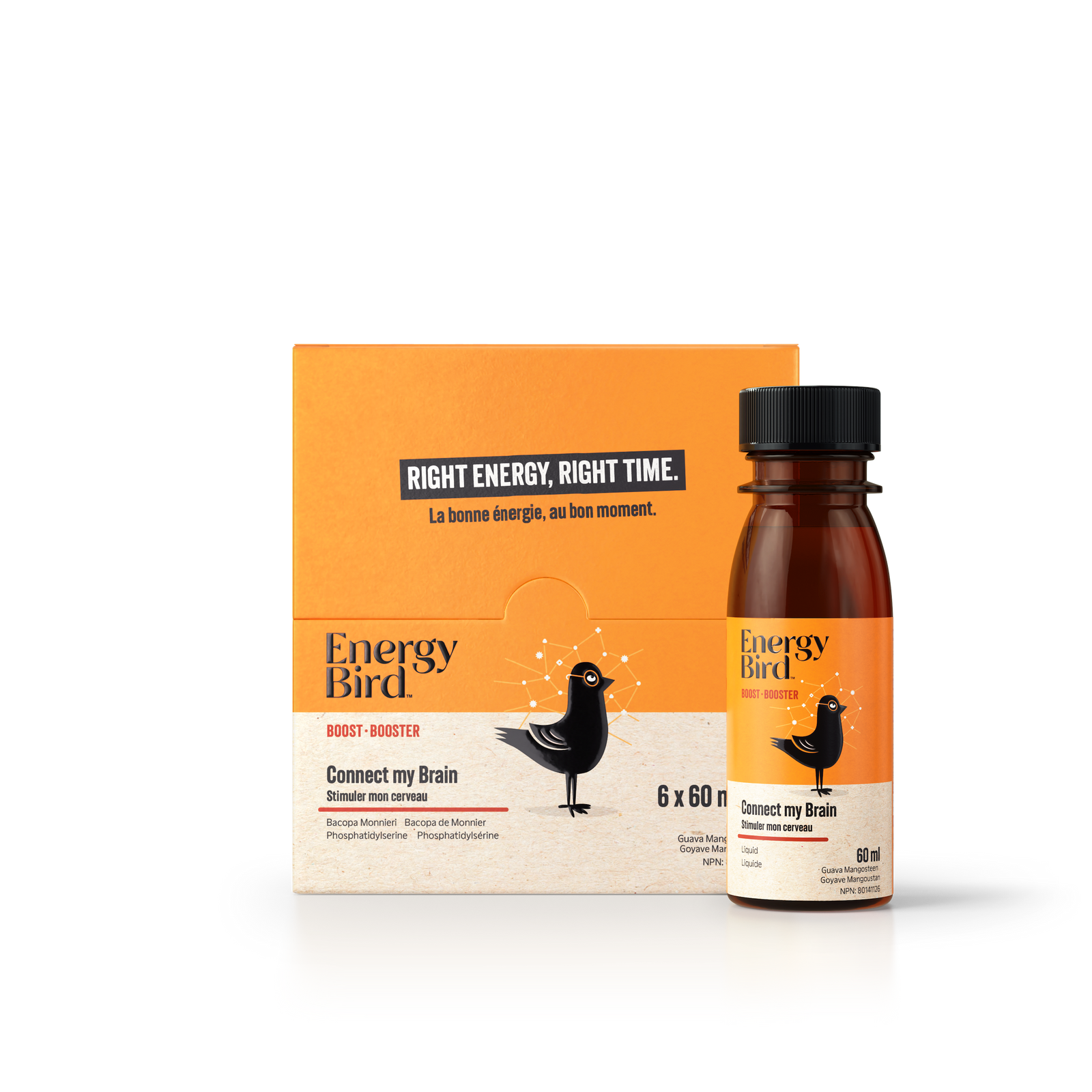 Supplément Stimuler mon cerveau par Energy bird – soutien à la santé cérébrale – 8 doses liquides