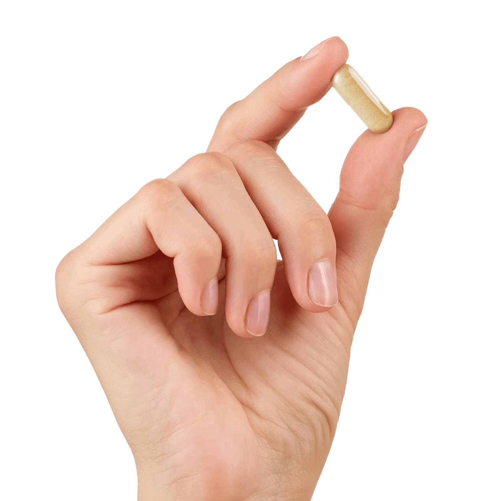 Energy Bird Feel Sexy tablet being held in one hand