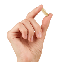 Energy Bird Feel Sexy tablet being held in one hand