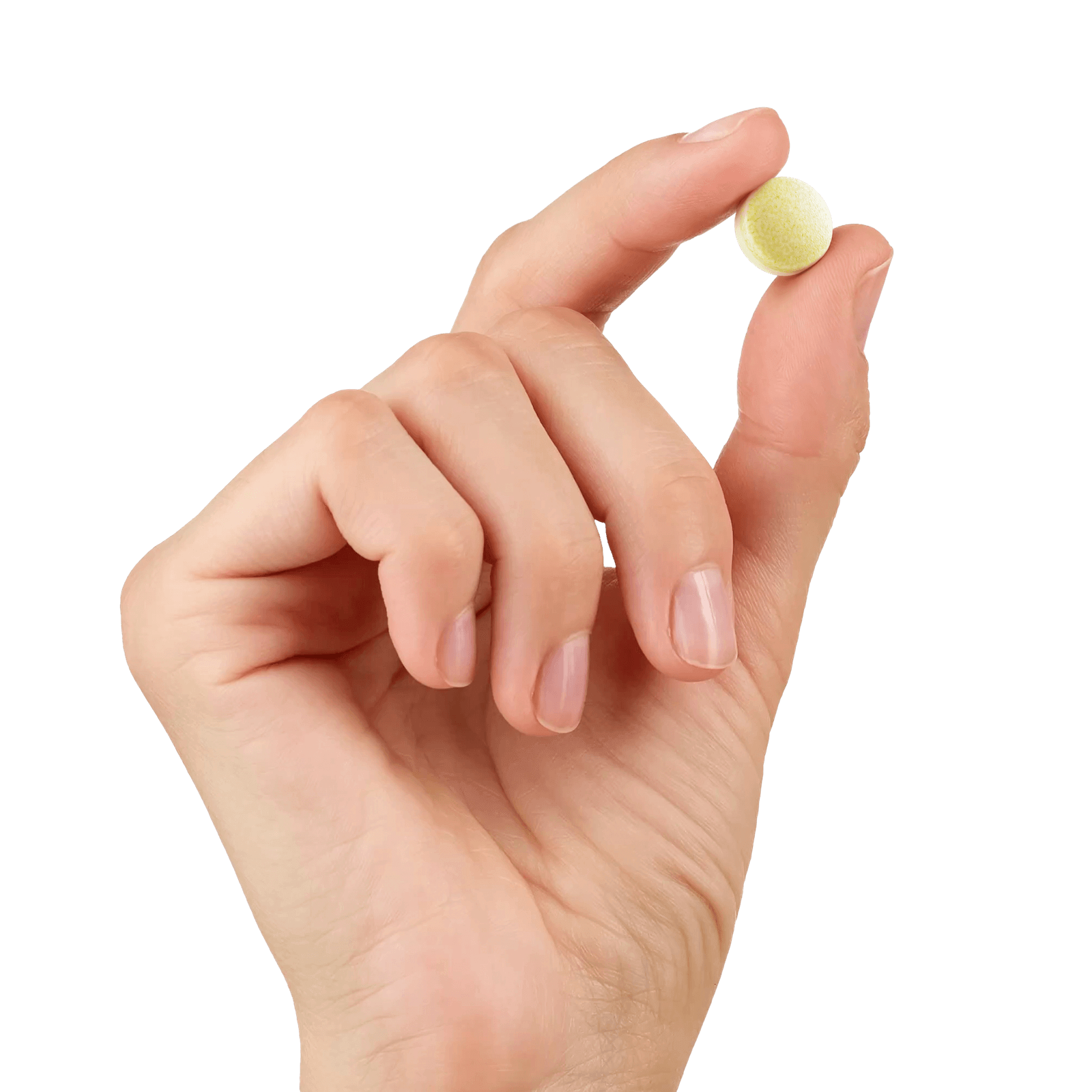 Energy Bird Shield Up Chewable Tablet being held