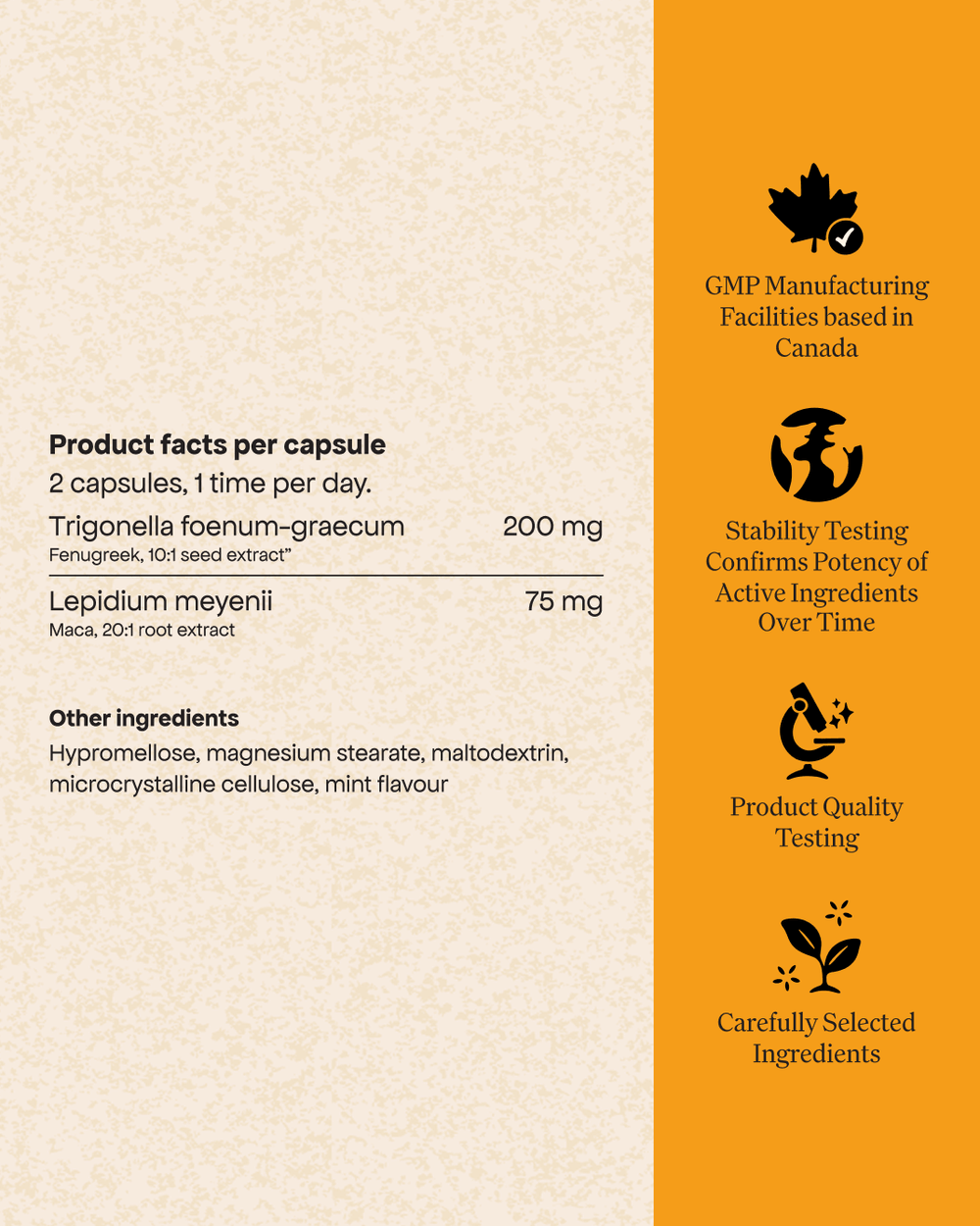 Chaque capsules Me sentir sexy par Energy Bird contient 300 mg d'extrait de fenugrec et 75 mg d'extrait de racine de maca.