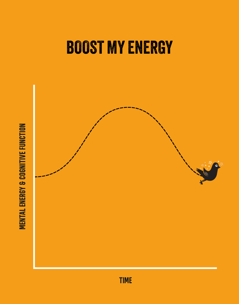 Line graph that shows a bell curve of a steady increase and then decrease of mental energy & cognitive function over time